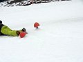 DSC09786